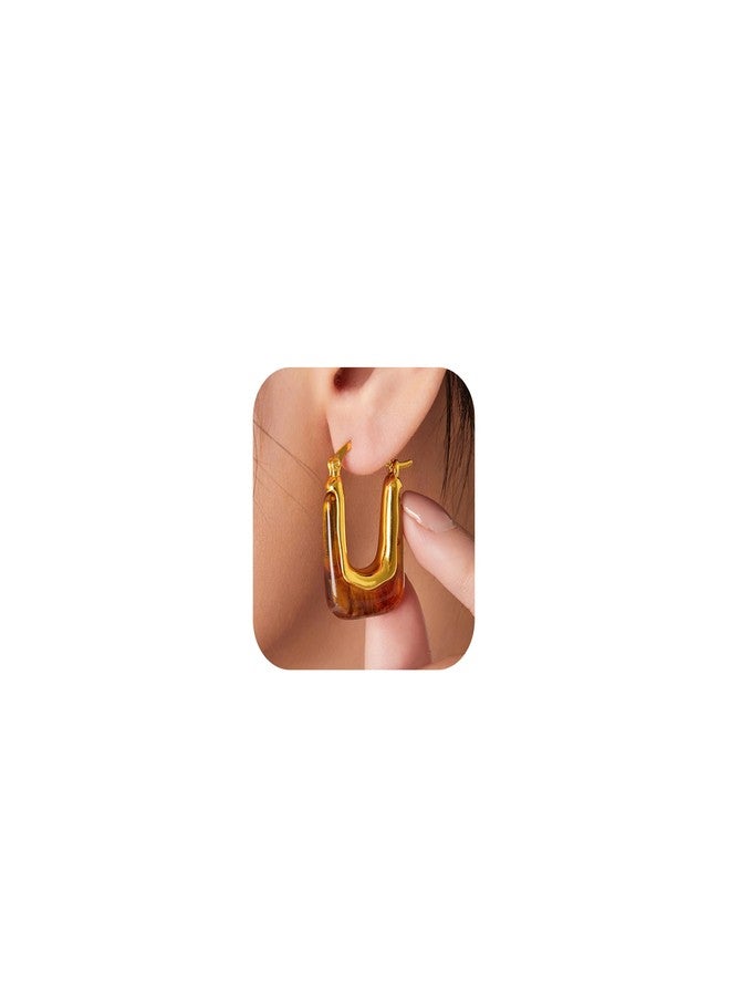 Novearring Brown Earrings for Women Acrylic Hoop Earings Brown and Gold Earring Tortoise Shell Jewelry Amber Bronze Hoop Earing Fall Accessories for Womens Fashion 2025 Trends - Image 1